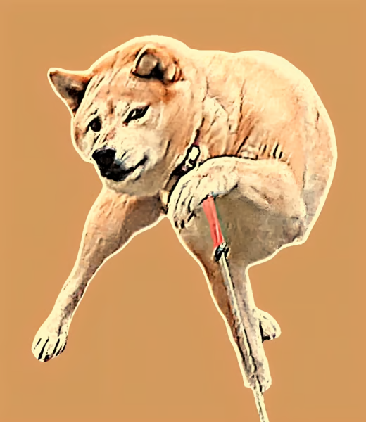 Original $REBL Logo